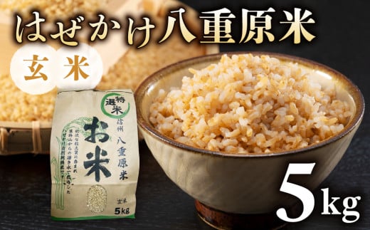 令和7年新米予約！はぜかけ八重原米5kg（5kg×1袋）玄米　※2025年11月上旬以降順次発送｜山陽農園　コシヒカリ 特A良質米 2111015 - 長野県東御市