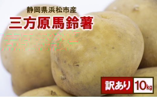 静岡県浜松市産 訳あり 三方原馬鈴薯 10kg 男爵 じゃがいも じゃが芋 ジャガイモ 国産 野菜 浜松市 [№5360-0544]