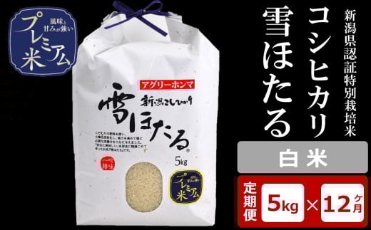 【12ヶ月定期便】甘味の強いプレミアム米 雪ほたる 新潟県認証特別栽培米 コシヒカリ 白米 5kg×12回（計60kg）アグリーホンマ[Y0516]