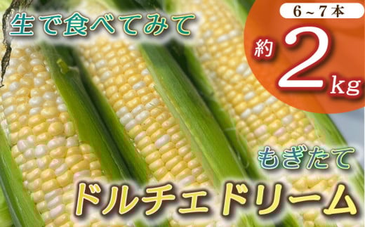 とうもろこし もぎたて ドルチェドリーム 約 2kg 6本~7本 トウモロコシ コーン 美味しい おいしい 茹でとうもろこし 焼きとうもろこし スープ 野菜 やさい バーベキュー BBQ 産地直送 新鮮 生鮮 食品 静岡県 牧之原市 タイラファーム 2114094 - 静岡県牧之原市