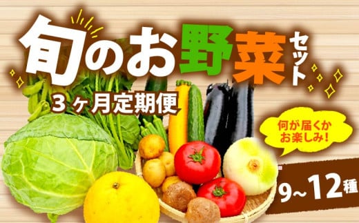 【全3回定期便】 野菜 詰め合わせ おまかせ 野菜詰合せ （9～12種） 野菜 詰合せ 9～12種 おまかせ 旬 まんさいかん ボックス 静岡県 藤枝市 (人気野菜 ふるさと納税野菜 ふるさと野菜 furusato野菜 おすすめ野菜 送料無料野菜 静岡県 藤枝市 )