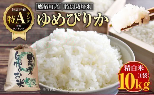 【令和7年産】ゆめぴりか（精白米）特Aランク 10kg 北海道 鷹栖町 米 コメ ご飯 精白米 お米 ゆめぴりか 【2025年9月下旬より発送予定】 2112069 - 北海道鷹栖町