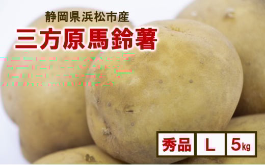 静岡県浜松市産 三方原馬鈴薯 秀品 L 5kg 男爵 じゃがいも じゃが芋 ジャガイモ 国産 野菜 浜松市 [№5360-0541]