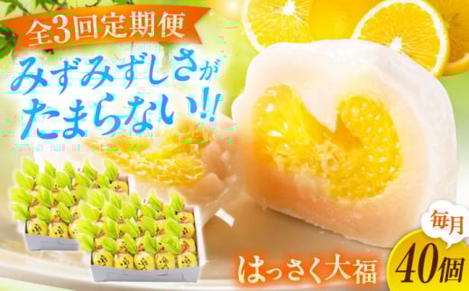 【3回定期便】お菓子 はっさく大福20個入×2　 お菓子 大福 八朔 柑橘 みかん オレンジ 餅 ギフト お取り寄せ スイーツ フルーツ大福 ご当地 菓子 おかし デザート 食品 人気 おすすめ 広島県福山市/株式会社虎屋本舗 [BADH034]