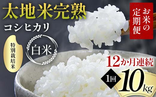 お米の定期便 特別栽培米 太地米完熟 【こしひかり】 白米10kg×12か月連続 ブランド米 お米 精米 白米 人気 F7X-0391