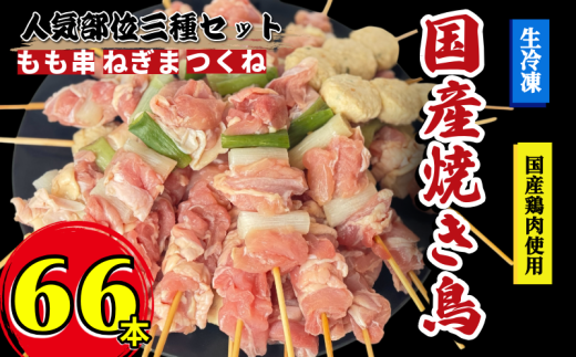 焼き鳥 セット 66本 もも つくね ねぎま 鶏肉 やきとり 串焼 チキン もも肉 つくね おかず 塩焼き スパイス 照り焼き おつまみ ビール BBQ パーティー イベント 小分け 包装 冷凍 徳島 小松島 とり信
