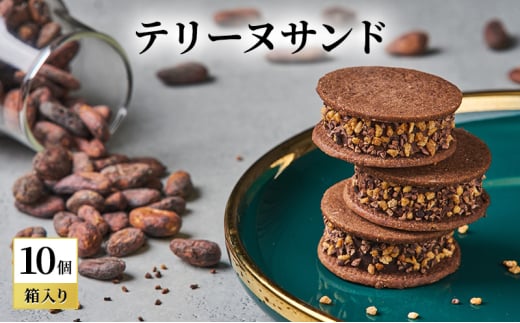 oNCHOCO テリーヌサンド(10個入り) テリーヌ チョコレート チョコ お菓子 スイーツ ギフト 贈り物