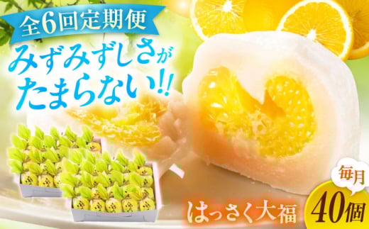 【6回定期便】お菓子 はっさく大福20個入×2　 お菓子 大福 八朔 柑橘 みかん オレンジ 餅 ギフト お取り寄せ スイーツ フルーツ大福 ご当地 菓子 おかし デザート 食品 人気 おすすめ 広島県福山市/株式会社虎屋本舗 [BADH035]