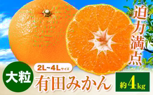迫力満点！大粒 有田みかん 2L-4Lサイズ 約4kg 有田マルシェ《11月上旬-1月上旬頃出荷》和歌山県 日高町 みかん 大粒 有田みかん 温州みかん 柑橘 フルーツ ミカン 蜜柑