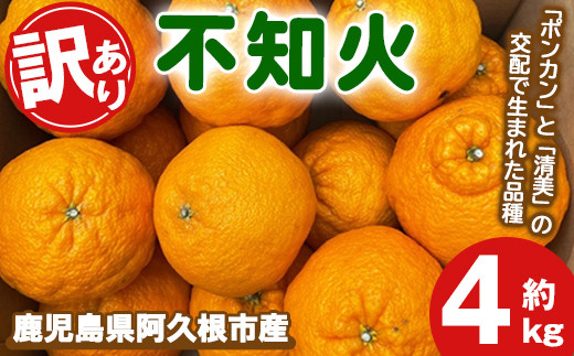 ＜先行予約受付中！2026年3月上旬以降順次発送予定＞訳あり！露地栽培の不知火(4kg) 国産 不知火 しらぬい 柑橘 果物 フルーツ デザート 露地 果実 期間限定 数量限定【古田果樹園】akn093-03