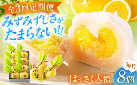 [3回定期便]お菓子 はっさく大福8個入 お菓子 大福 八朔 柑橘 みかん オレンジ 餅 ギフト お取り寄せ スイーツ フルーツ大福 ご当地 菓子 おかし デザート 食品 人気 おすすめ 広島県福山市/株式会社虎屋本舗 [BADH022]