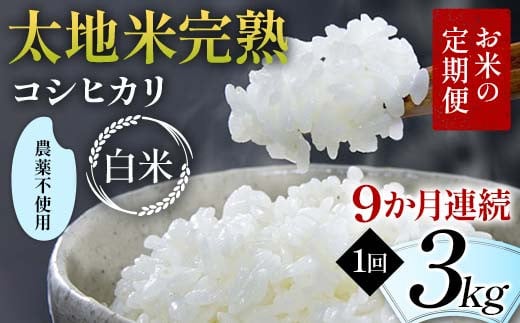 お米の定期便 農薬不使用米 太地米完熟 【こしひかり】 白米3kg×9か月連続 ブランド米 お米 精米 白米 人気 F7X-0406
