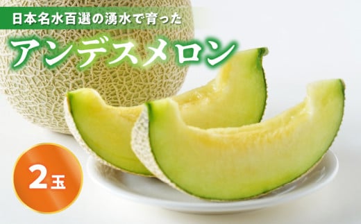 進栄 好評!日本名水百選の湧水で育ったアンデスメロン(2玉)