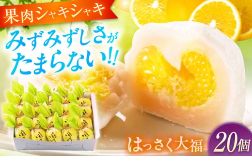 お菓子 はっさく大福20個入　 お菓子 大福 八朔 柑橘 みかん オレンジ 餅 ギフト お取り寄せ スイーツ フルーツ大福 ご当地 菓子 おかし デザート 食品 人気 おすすめ 広島県福山市/株式会社虎屋本舗 [BADH029]