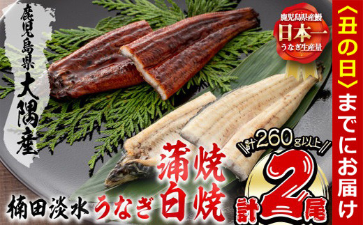 【丑の日までに配送】楠田の極うなぎ蒲焼130g以上×1尾・白焼130g以上×1尾(計260g以上) 山椒付たれ 鰻 ウナギ 蒲焼 白焼き うな重 ひつまぶし 鹿児島 冷凍 おかず お祝い 食べ比べ a4-094-us 2102407 - 鹿児島県志布志市