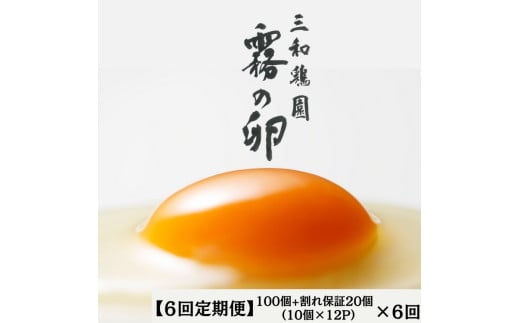 【6回定期便】新鮮 卵 120個（100個+卵割れ保証20個）(10個×12パック)京都丹波『霧の卵』三和鶏園 ≪たまご タマゴ 玉子 生卵 鶏卵 小分け 贈答 ギフト ふるさと納税 卵 直送 冷蔵 朝食 料理 人気≫ ※北海道・沖縄・離島への配送不可