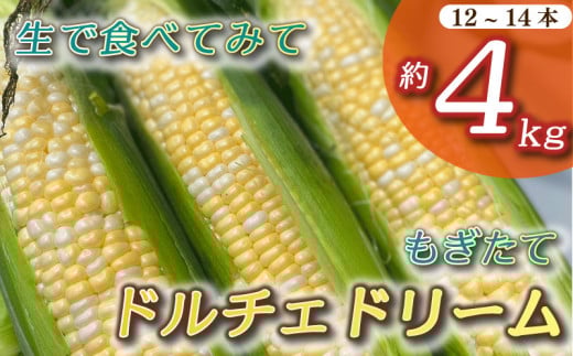 とうもろこし もぎたて ドルチェドリーム 約 4kg 12本~14本 トウモロコシ コーン 美味しい おいしい 茹でとうもろこし 焼きとうもろこし スープ 野菜 やさい バーベキュー BBQ 産地直送 新鮮 生鮮 食品 静岡県 牧之原市 タイラファーム 2114095 - 静岡県牧之原市
