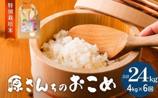 《先行予約》令和7年度産 原さんちのお米 ４kg 3種の中からいずれか1種お届け ひとめぼれ ヒノヒカリ にこまる 6回定期便 特別栽培米 原農園 有機栽培 化学肥料不使用 アートテン農法 抗酸化農法 完熟堆肥 有効微生物農法 産直 お米 栄養価 体に良い おいしい 安心 田植え 収穫 1512638 - 大分県玖珠町