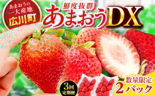 [3回定期便]博多あまおう 1ケース(270g×2P)いちご 苺 イチゴ ふるーつ くだもの フルーツ 果物 旬 福岡県産 小分け 広川町 / JAふくおか八女農産物直売所どろや [AFAB019]