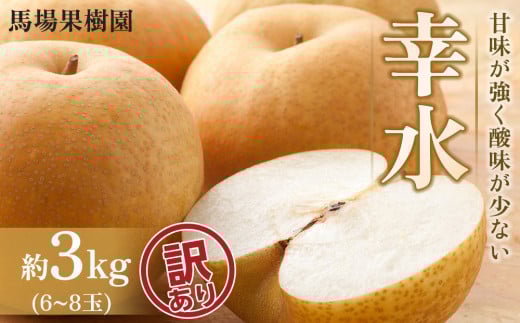 【訳あり】【馬場果樹園】梨「幸水」約5kg（10～16玉入）8月中旬～順次発送