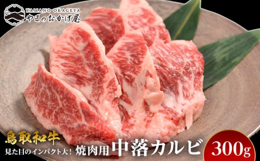 57.鳥取和牛 焼肉用 中落カルビ 300g 553808 - 鳥取県北栄町