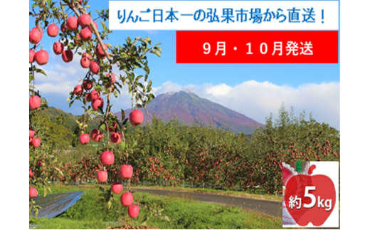 【9月・10月発送】家庭用 早生ふじ 約5kg【西目屋村産・青森りんご】 りんご 林檎 リンゴ 果物 フルーツ くだもの 旬 青森県産 お取り寄せ 詰め合わせ セット 常温 産地直送 送料無料 青森県 西目屋村