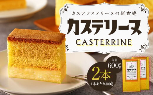 長崎カステリーヌ 2個セット 計600g (約300g×2)  ／ タナカヤ カステラ かすてら スイーツ デザート お菓子 菓子 長崎県 長崎市 1482814 - 長崎県長崎市