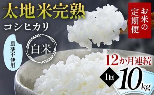 お米の定期便 農薬不使用米 太地米完熟 【こしひかり】 白米10kg×12か月連続 ブランド米 お米 精米 白米 人気 F7X-0423