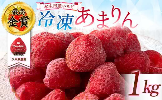 【久米原農園】最高金賞受賞！ 埼玉県 本庄市産 いちご 冷凍 あまりん 1kg(500g×2) 急速冷凍 フローズン 果物 くだもの フルーツ 苺 イチゴ ストロベリー デザート 食品 小分け 自宅用 家庭用 F5K-454