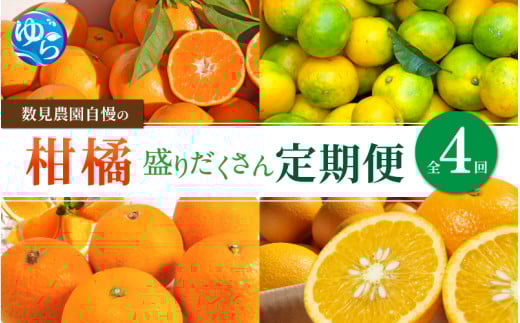 【定期便全4回】みかん  ≪数見農園自慢の柑橘盛りだくさん定期便≫ / 定期便 果物 柑橘 由良町  フルーツ くだもの 産地直送 和歌山 詰め合わせ mikan 柑橘 数量限定 ゆら早生 ゆら早生みかん ゆらみかん 温州みかん 清見 きよみ 清見オレンジ さつき八朔 4kg おれんじ 八朔 さつき八朔　【kzmn-tkb001】