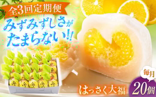 【3回定期便】お菓子 はっさく大福20個入　 お菓子 大福 八朔 柑橘 みかん オレンジ 餅 ギフト お取り寄せ スイーツ フルーツ大福 ご当地 菓子 おかし デザート 食品 人気 おすすめ 広島県福山市/株式会社虎屋本舗 [BADH030]