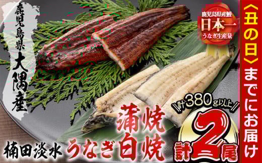 【丑の日までに配送】楠田の極うなぎ蒲焼190g以上×1尾・白焼190g以上×1尾(計380g以上) 山椒付たれ 鰻 ウナギ 蒲焼 白焼き うな重 ひつまぶし 鹿児島 冷凍 おかず お祝い 食べ比べ a7-022-us 2102443 - 鹿児島県志布志市