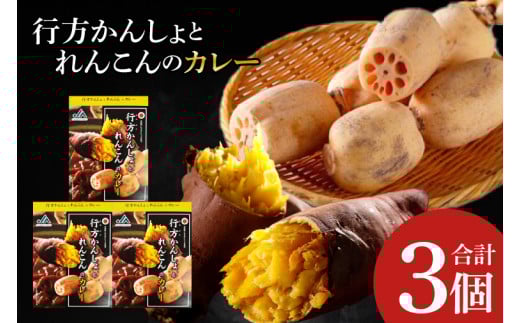 ～GI登録「さつまいも」使用～行方かんしょとれんこんのカレー(200g×3個)｜カレー レトルト レトルトカレー ご当地 ご当地カレー 人気 オススメ 便利 特産品 地元特産品 茨城県 行方市(AE-142) 2111026 - 茨城県行方市