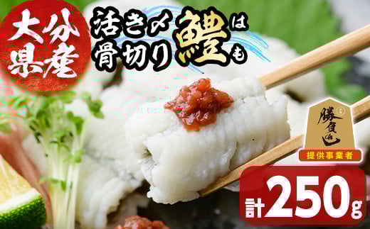 大分県産活き〆骨切りハモ(計250g) 真空パック 冷凍 魚介 鱧 はも 活き〆 骨切り 急速冷凍 勝負めし 【101900200】【上野水産】 675746 - 大分県宇佐市