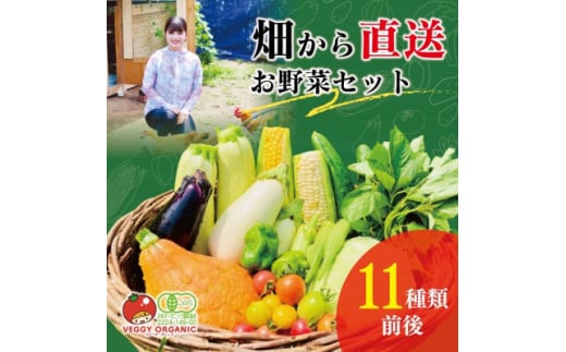 新鮮さ抜群 季節の味を楽しむ有機JAS認証 野菜詰め合わせ(11種類前後)オーガニック【1612762】