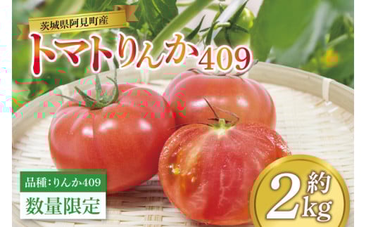 【先行予約 5月下旬から順次配送】トマト（品種：りんか409）　約2kg【野菜 甘みと酸味 とまと 茨城県 阿見町産】(76-07)