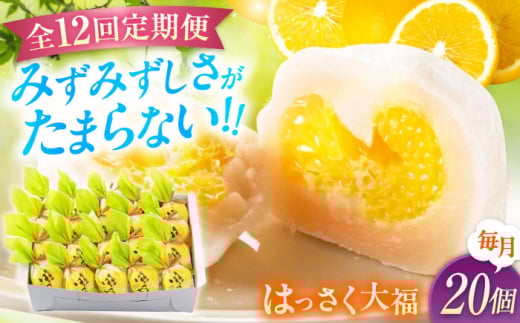 【12回定期便】お菓子 はっさく大福20個入　 お菓子 大福 八朔 柑橘 みかん オレンジ 餅 ギフト お取り寄せ スイーツ フルーツ大福 ご当地 菓子 おかし デザート 食品 人気 おすすめ 広島県福山市/株式会社虎屋本舗 [BADH032]