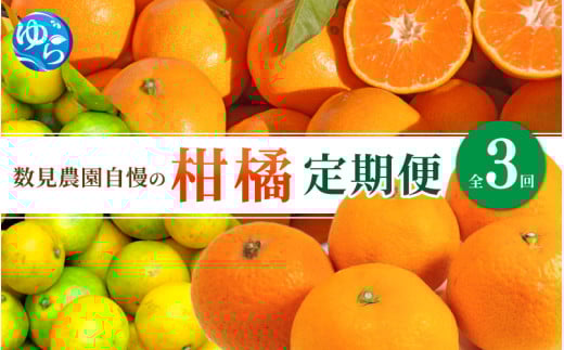 【定期便全3回】みかん  ≪数見農園自慢の柑橘定期便≫ / 定期便 果物 柑橘 由良町 フルーツ くだもの 産地直送 和歌山 数量限定 ミカン ゆら早生 ゆら早生みかん ゆらみかん 温州みかん きよみ 清見オレンジ 4kg オレンジ【kzmn-tkb002】