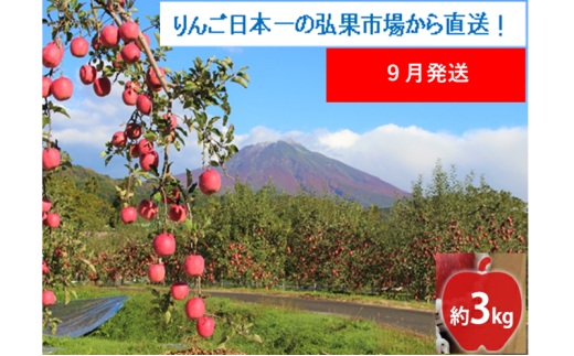 【9月発送】家庭用 つがる 約3kg【西目屋村産・青森りんご】 りんご 林檎 リンゴ 果物 フルーツ くだもの 旬 青森県産 お取り寄せ 詰め合わせ セット 常温 産地直送 送料無料 青森県 西目屋村