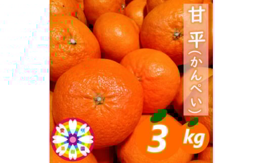 愛咲果樹園 「 甘平 」約3kg＜D71-28＞【1616841】 2111615 - 愛媛県八幡浜市