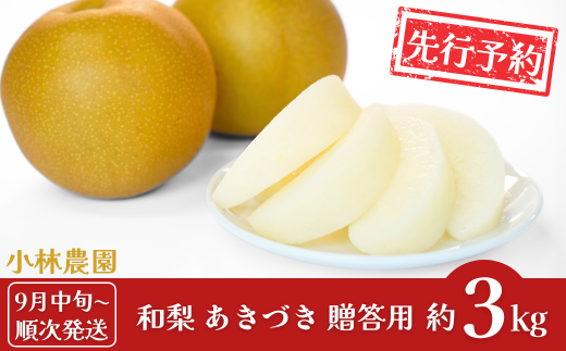 先行予約 和梨 あきづき 約3kg [9月中旬から発送予定] 令和7年度 新潟県三条市産 梨 [小林農園]【010S748】