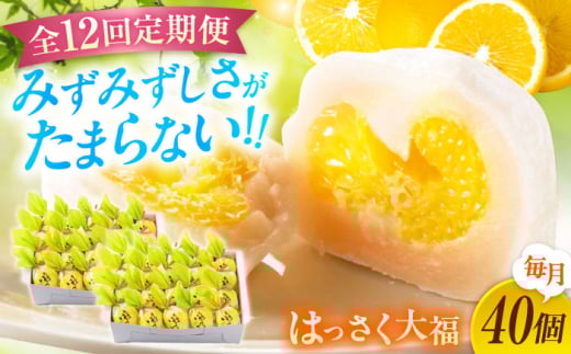 【12回定期便】お菓子 はっさく大福20個入×2　 お菓子 大福 八朔 柑橘 みかん オレンジ 餅 ギフト お取り寄せ スイーツ フルーツ大福 ご当地 菓子 おかし デザート 食品 人気 おすすめ 広島県福山市/株式会社虎屋本舗 [BADH036]