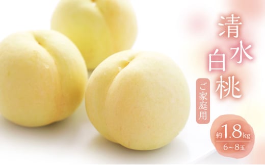 桃 2025年 数量限定 白桃 清水白桃  約1.8kg 6～8玉 ご家庭用 フルーツ 果物 岡山 赤磐市産