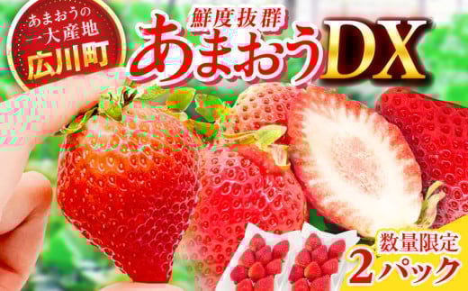 [★先行予約★ 2026年2月より発送]あまおうDX等級 1ケース(270g×2パック) いちご イチゴ 苺 フルーツ 果物 旬 福岡県産 小分け あまおう 博多 大きい 甘い 広川町 / JAふくおか八女農産物直売所どろや [AFAB072]