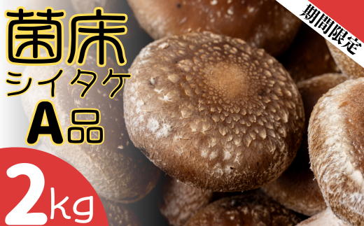 ファーム吉五郎　菌床シイタケA品2kg