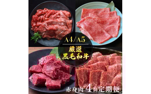 【4回定期便】京都産 黒毛和牛赤身肉 4ヶ月 お楽しみセット【計2.35kg】1回 500g～700g 和牛 専門店 ひら山 厳選 赤身 しゃぶしゃぶ すき焼き サイコロステーキ 焼肉 ステーキ 切り落とし スライス 牛肉 和牛 冷凍 丹波産 A5 A4 ふるさと納税 牛肉 定期便