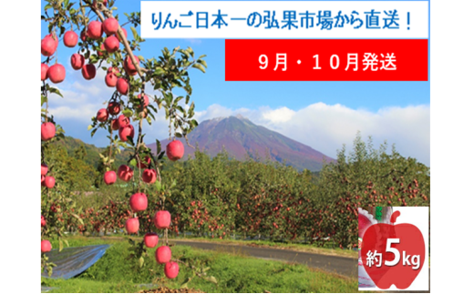 【9月・10月発送】贈答用 早生ふじ 約5kg【西目屋村産・青森りんご】 りんご 林檎 リンゴ 果物 フルーツ くだもの 旬 青森県産 お取り寄せ 詰め合わせ セット 常温 産地直送 送料無料 青森県 西目屋村