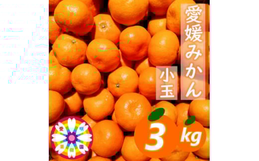 「 愛媛 みかん 」 小玉 約3kg《 愛咲果樹園 》＜A71-26＞【1616828】 2111613 - 愛媛県八幡浜市