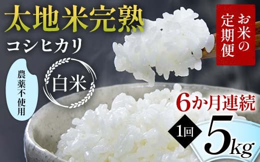 お米の定期便 農薬不使用米 太地米完熟 【こしひかり】 白米5kg×6か月連続 ブランド米 お米 精米 白米 人気 F7X-0413