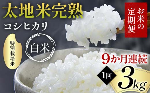 お米の定期便 特別栽培米 太地米完熟 【こしひかり】 白米3kg×9か月連続 ブランド米 お米 精米 白米 人気 F7X-0374